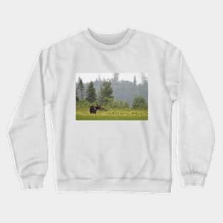 Grassy marsh moose - Algonquin Park, Canada Crewneck Sweatshirt